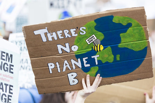 The Climate Change Generation