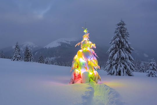 Happy Holidays, Eco Warriors!