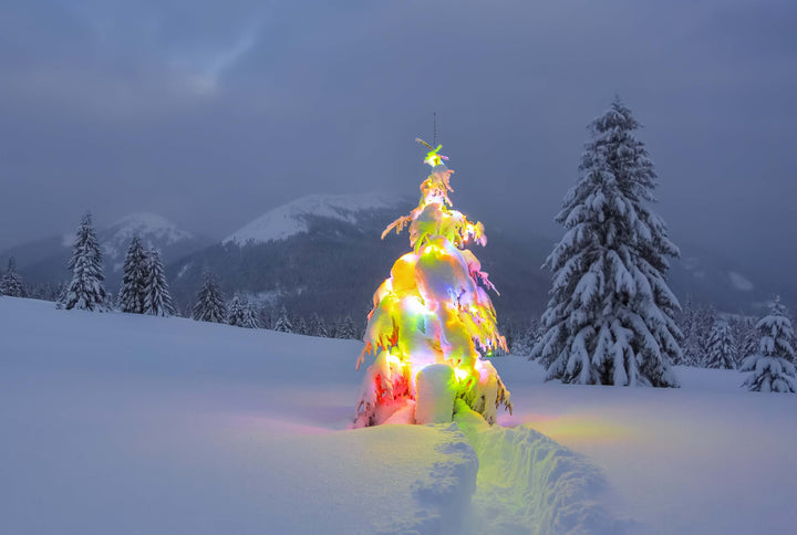 Happy Holidays, Eco Warriors!